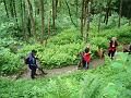 AUS04062009 (160)